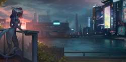 1285x639