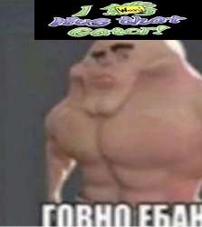 496x556
