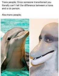 720x928