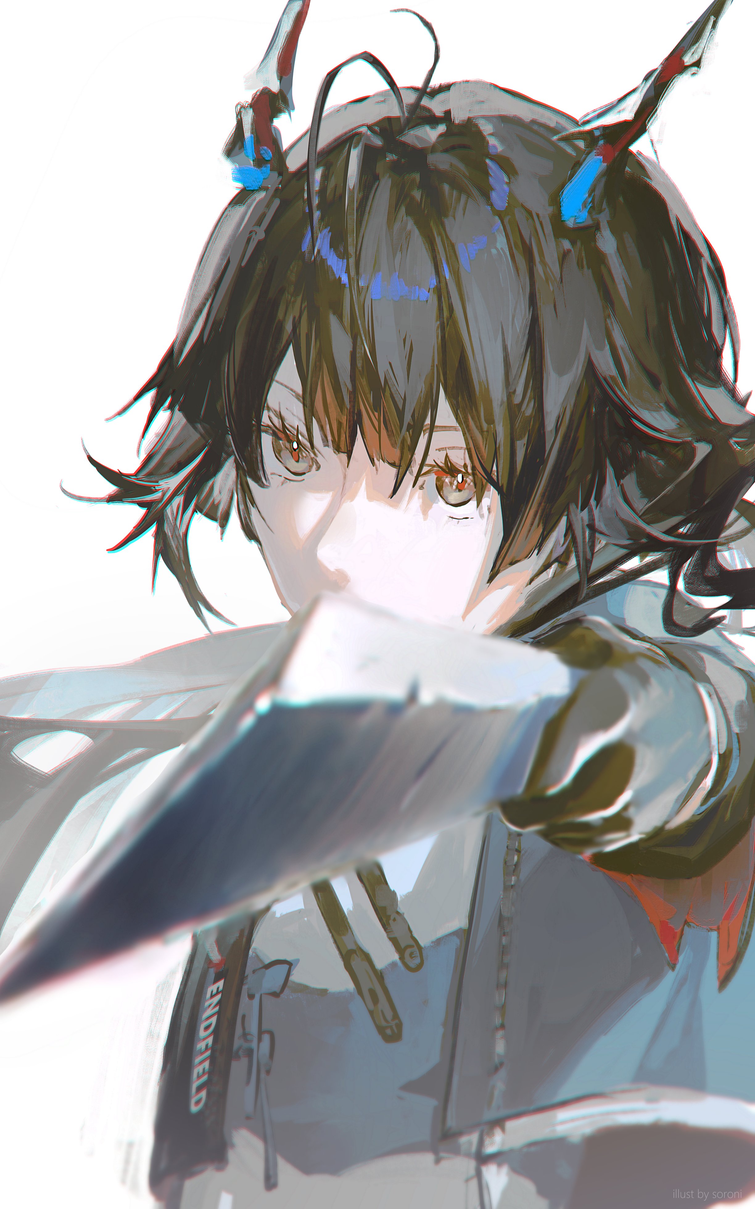 2448x3920