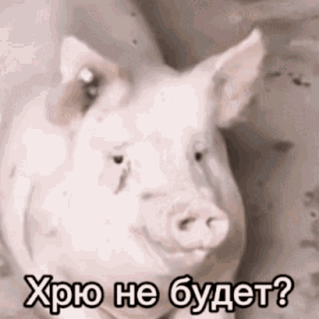 640x640
