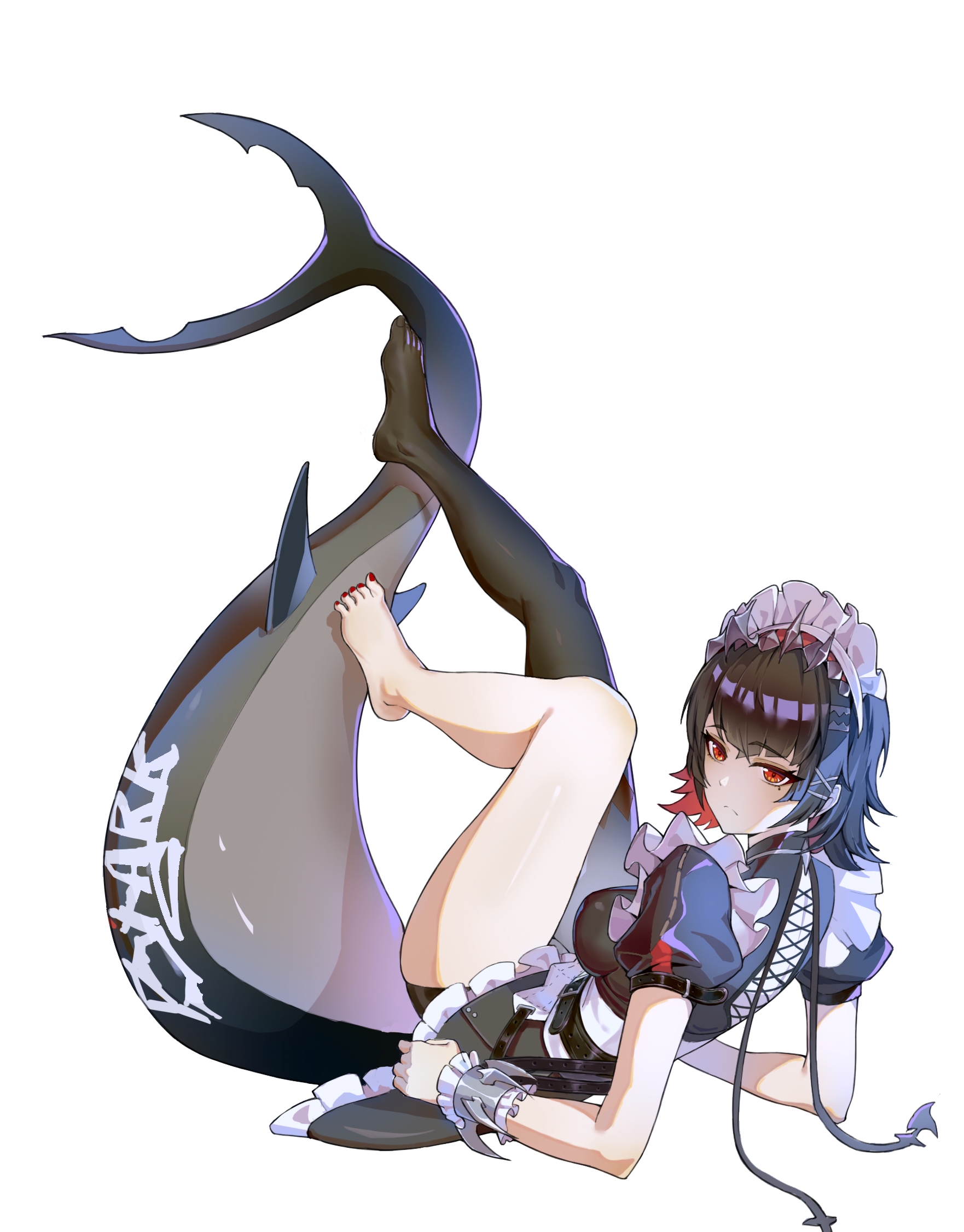 1762x2253