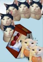 882x1280
