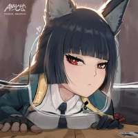 736x736