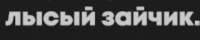 399x81