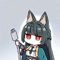 736x736