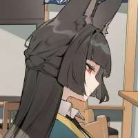 736x736