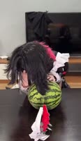 720x1236