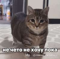 524x514