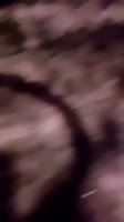 450x800