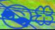 113x63
