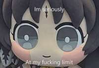 1111x764