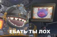 1157x769