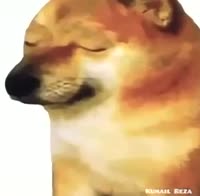 366x360