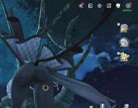 1248x983