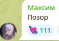 446x310
