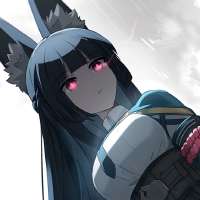736x736