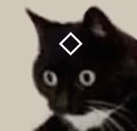 216x208
