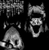 1036x1056