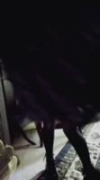 478x854