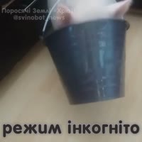 720x720