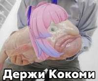 560x467