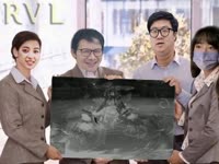 800x600