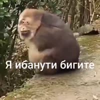 464x464