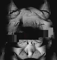 278x293