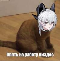 496x499