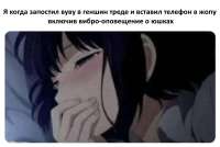 1180x792