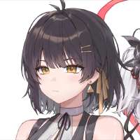 736x736