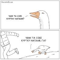 640x640