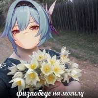 736x736