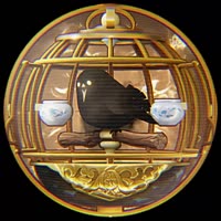 720x720
