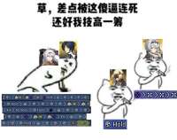 605x479