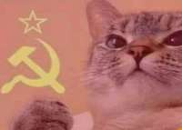 498x358