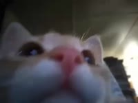 480x360