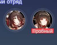 293x232