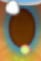 176x262