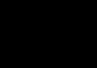 384x272