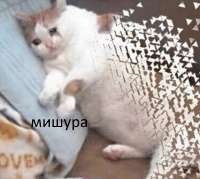 693x621