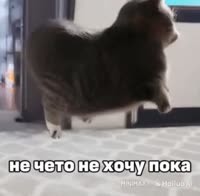 320x314