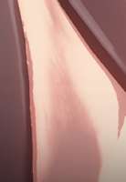 446x642