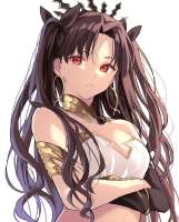 736x913
