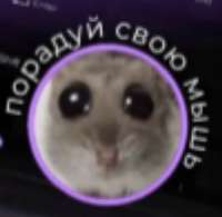 298x291