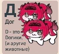 336x310