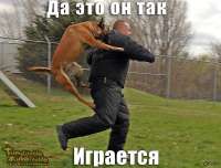 604x462