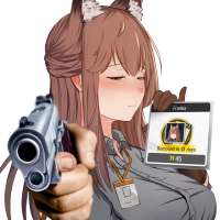 811x811