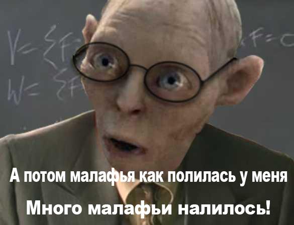 585x448
